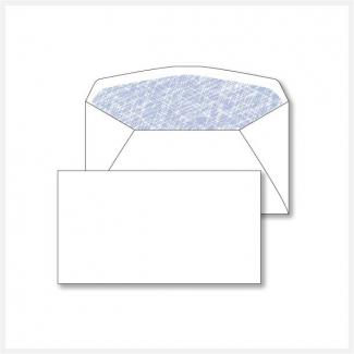 Envelope Printing No. 6-3/4 Security Tint